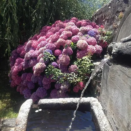 La Sorgente Al Roseto Del Drago * San Bernardo (Sondrio)